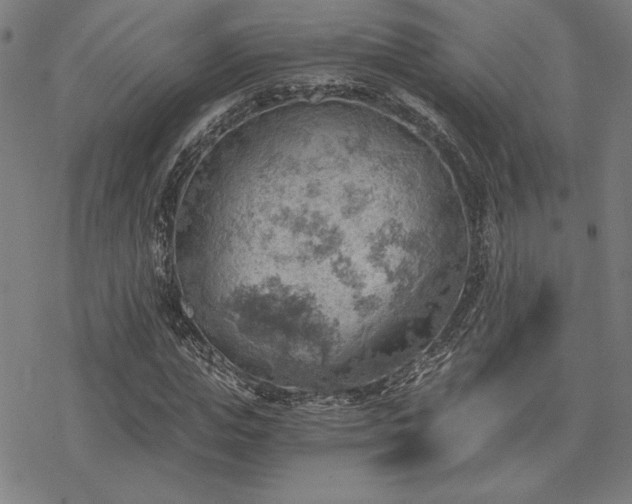 X0000068830823200605051234