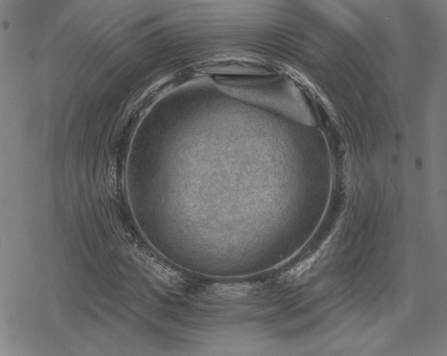 X0000068830825200605051234