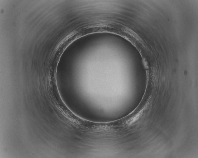 X0000068830826200605051234