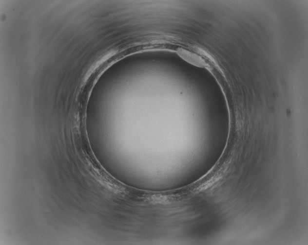 X0000068830827200605051234