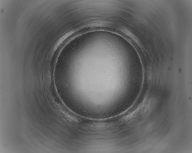 X0000068830829200605051234