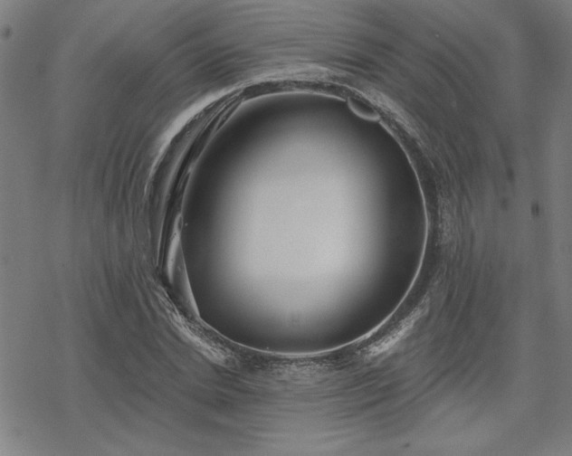 X0000068830830200605051234