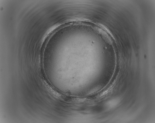 X0000068830831200605051234