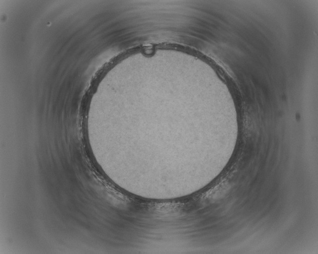 X0000068830832200605051234