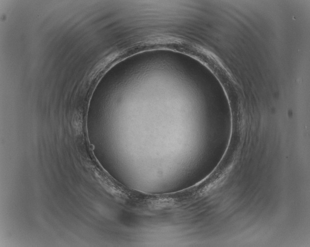 X0000068830833200605051234