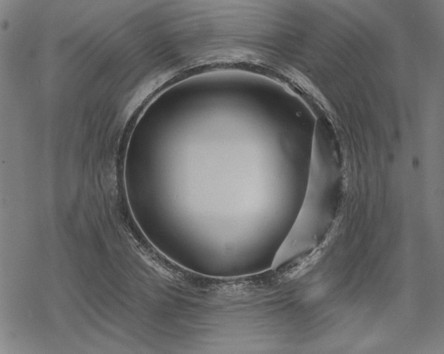 X0000068830834200605051234