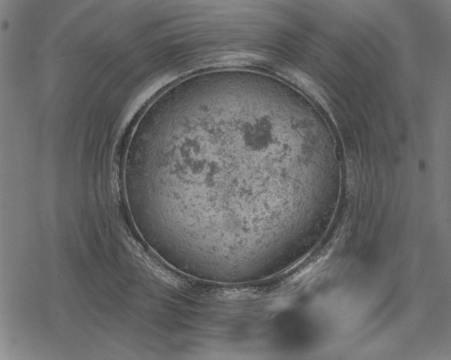 X0000068830835200605051234