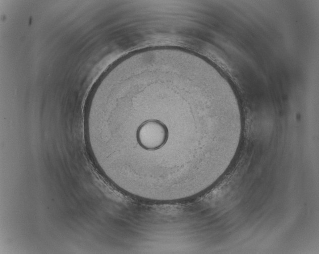 X0000068830836200605051234