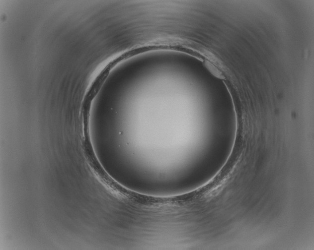 X0000068830838200605051234