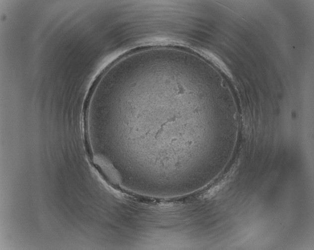 X0000068830839200605051234