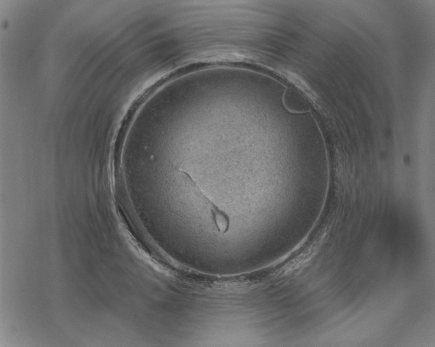 X0000068830840200605051234