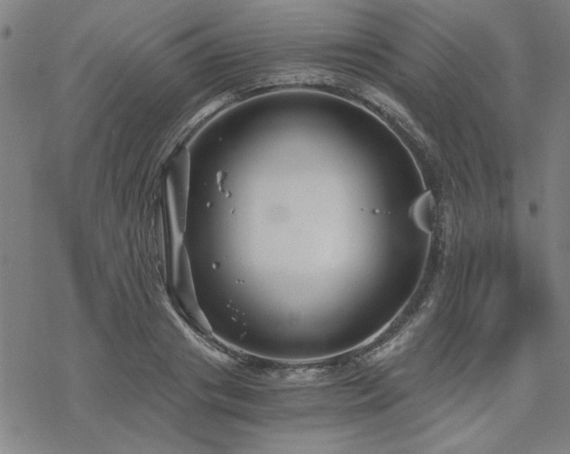 X0000068830841200605051234