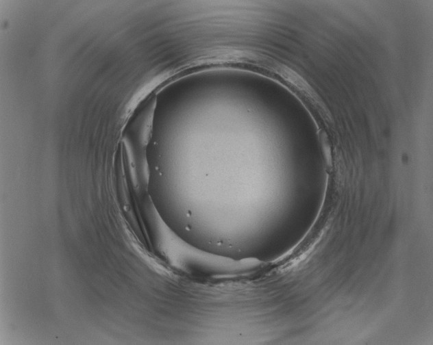 X0000068830842200605051234