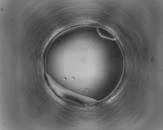 X0000068830843200605051234