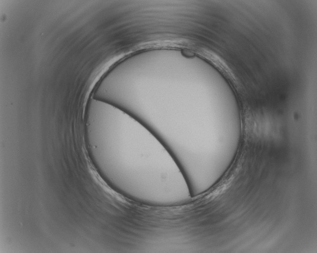 X0000068830844200605051234