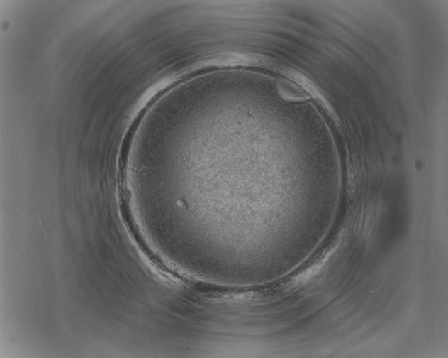 X0000068830845200605051234