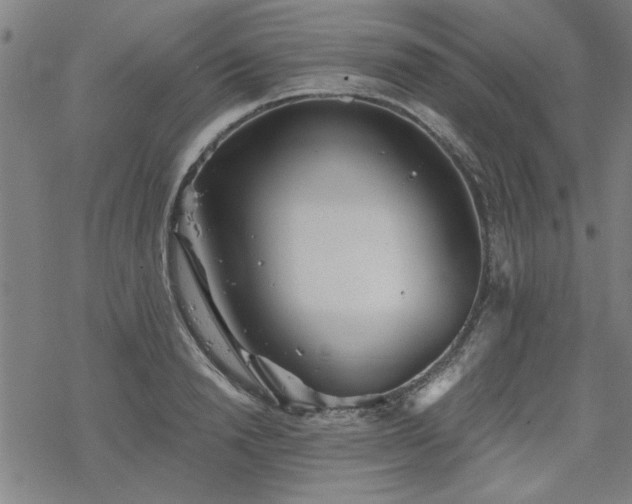 X0000068830846200605051234