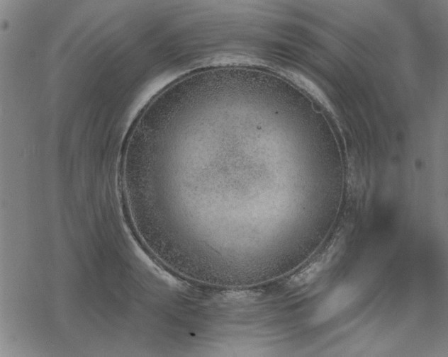 X0000068830847200605051234