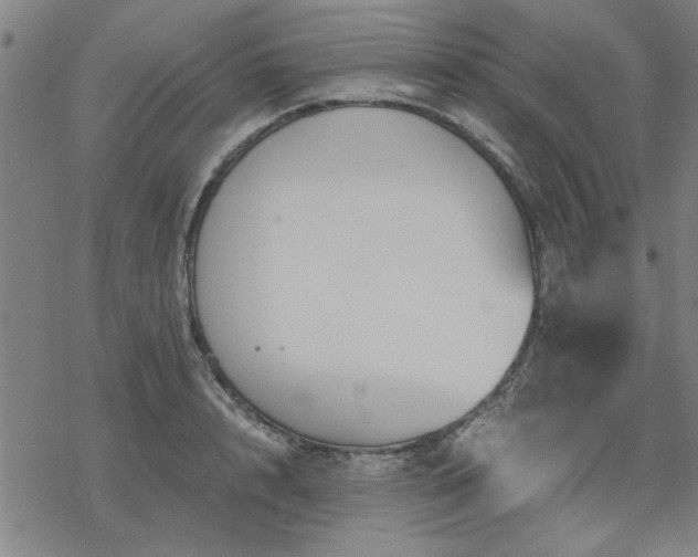 X0000068830848200605051234