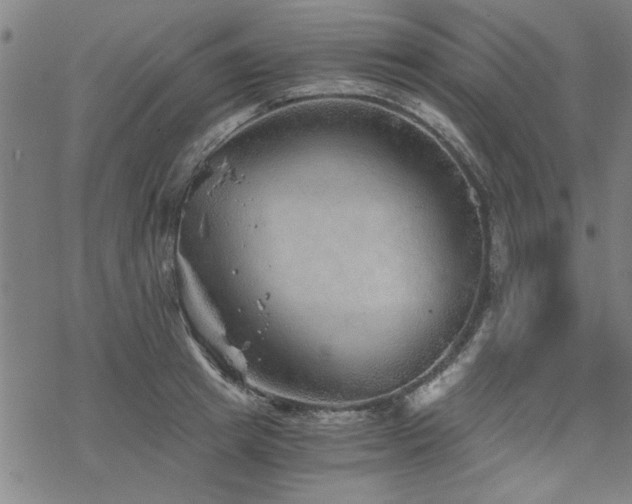 X0000068830849200605051234