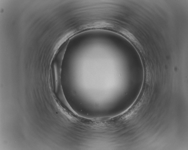 X0000068830850200605051234