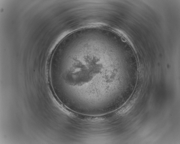 X0000068830851200605051234