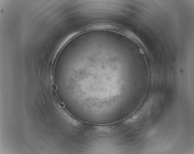 X0000068830852200605051234