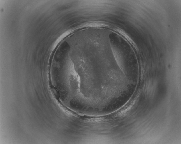 X0000068830853200605051234