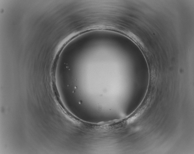 X0000068830854200605051234