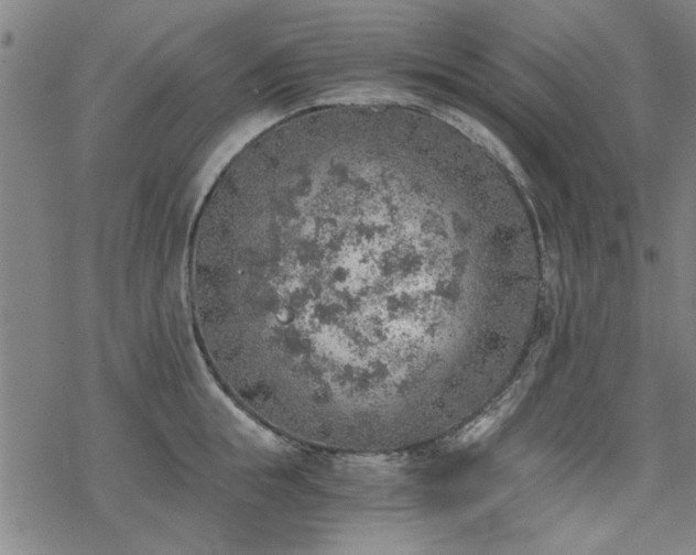 X0000068830855200605051234