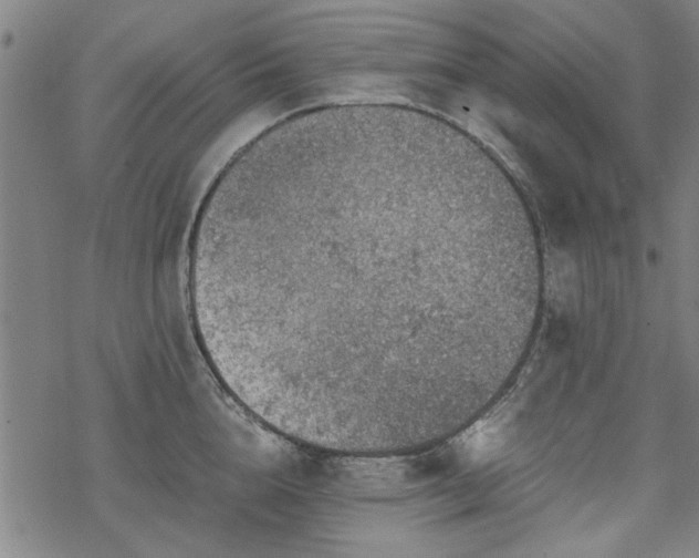 X0000068830856200605051234