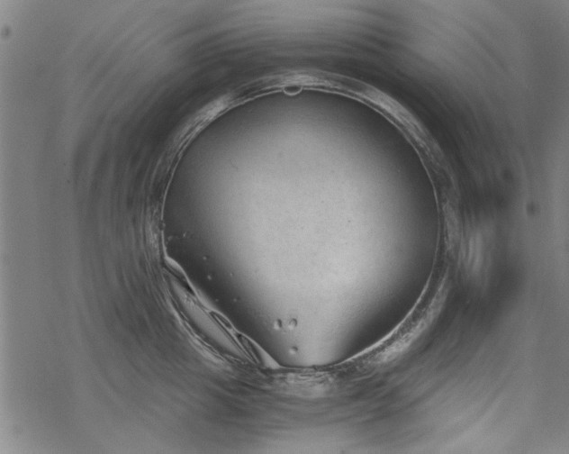 X0000068830857200605051234