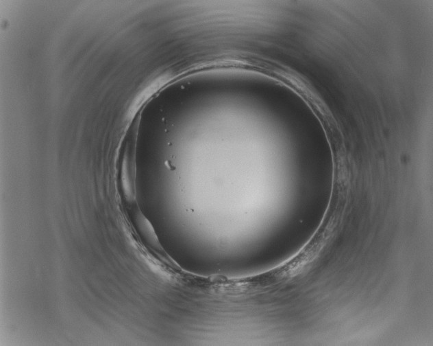 X0000068830858200605051234