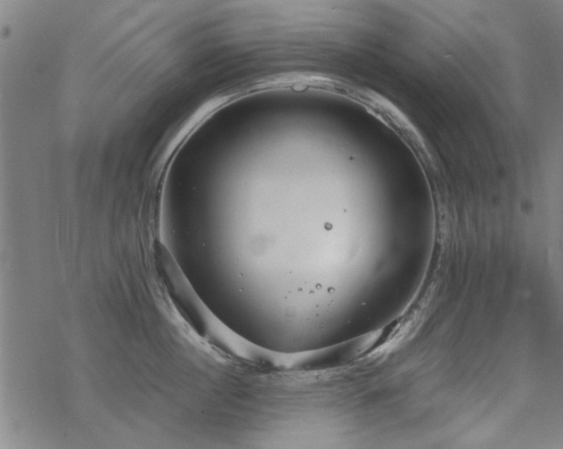 X0000068830860200605051234