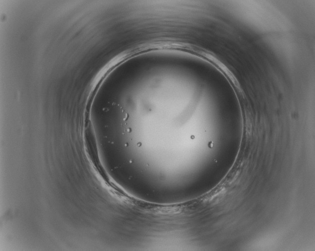 X0000068830861200605051234