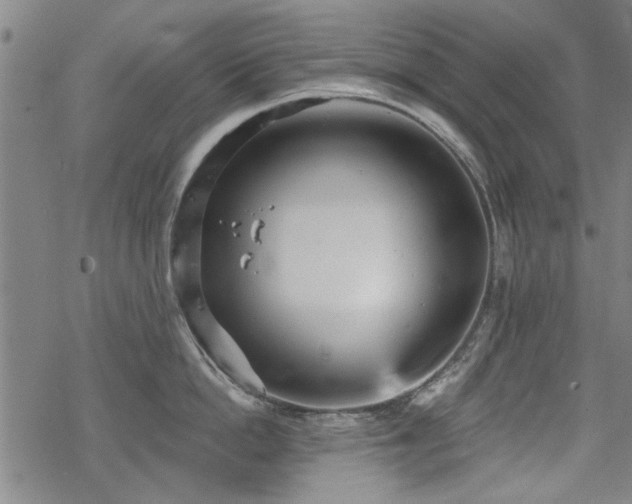 X0000068830862200605051234