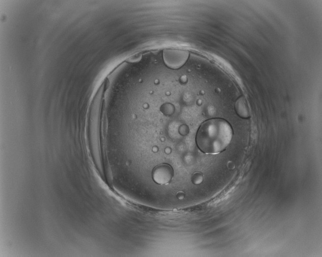 X0000068830863200605051234