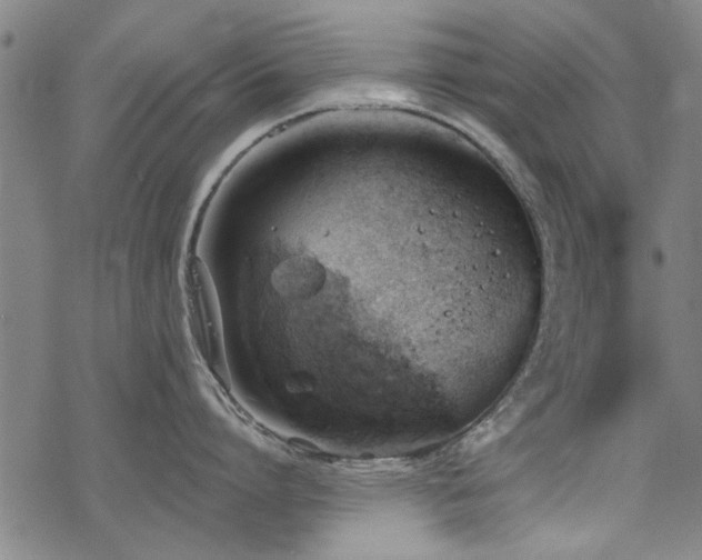 X0000068830864200605051234