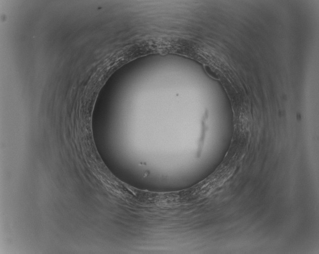 X0000068830865200605051234