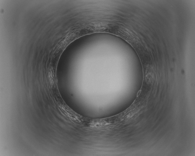 X0000068830866200605051234