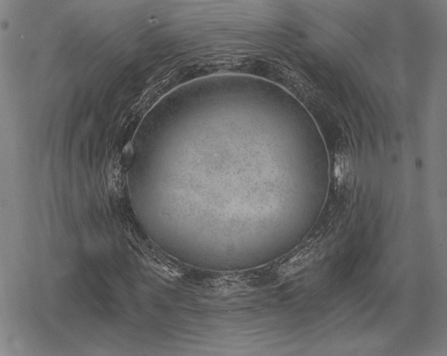 X0000068830867200605051234