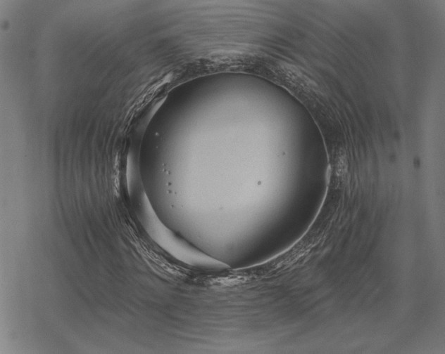 X0000068830868200605051234