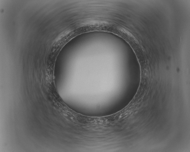 X0000068830869200605051234