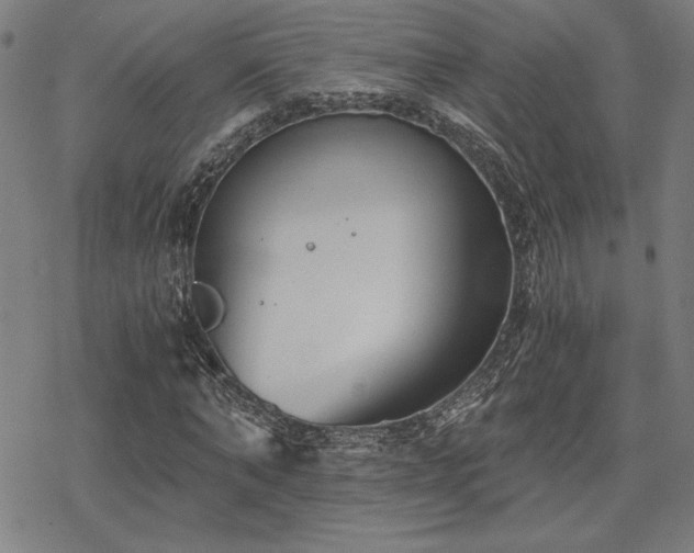 X0000068830870200605051234