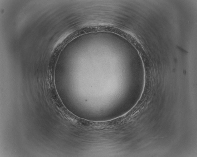 X0000068830871200605051234