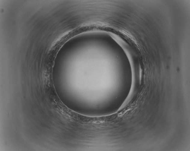 X0000068830872200605051234