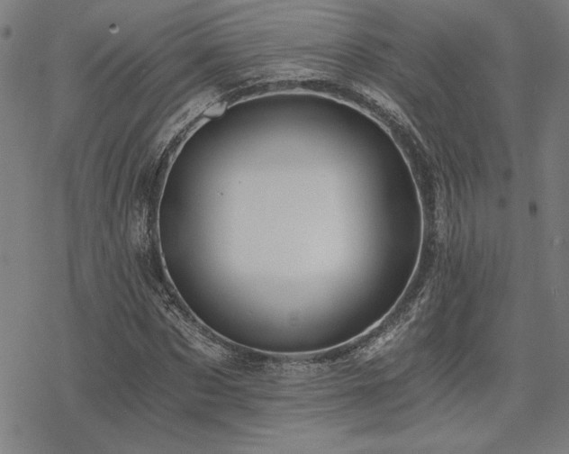 X0000068830873200605051234