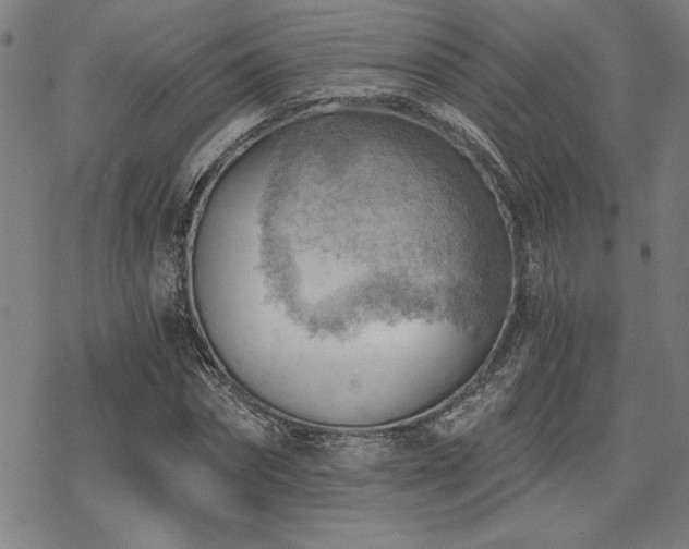 X0000068830874200605051234