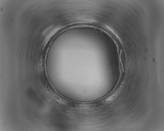 X0000068830875200605051234