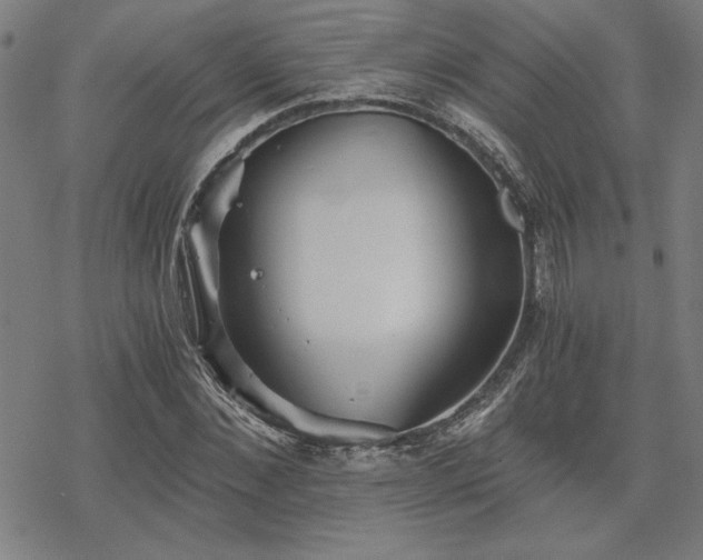 X0000068830876200605051233